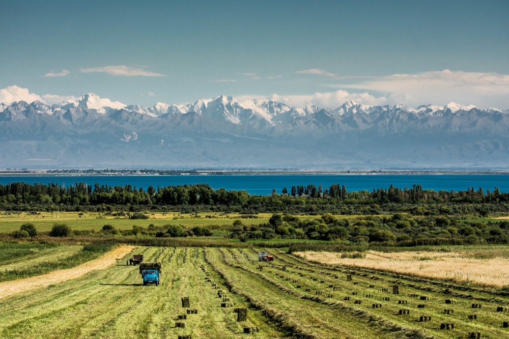 СОВХОЗ ООО «Альянс-Гринлайф», Киргизия